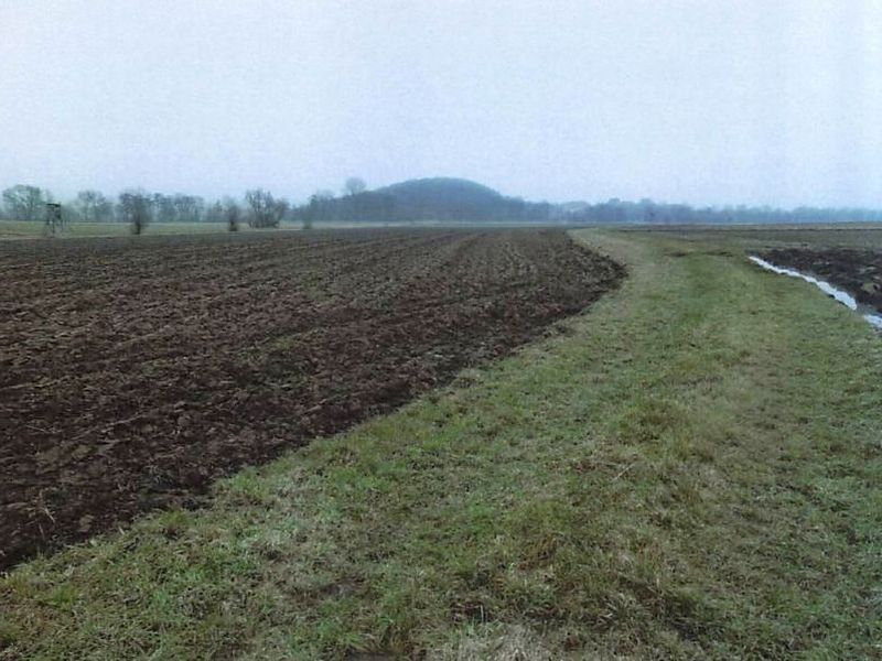 Landwirtschaftsflächen in Sachsenheim - Bild 2