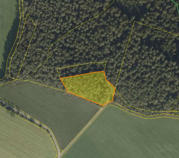 Waldfläche in Stadtkreis Freiburg im Breisgau - Bild 1