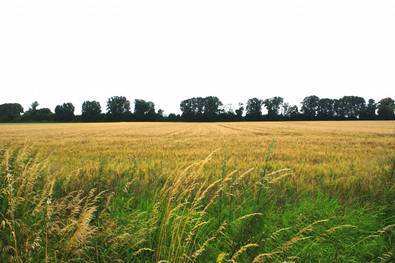 unbebautes Grundstück in Grevenbroich - Bild 1