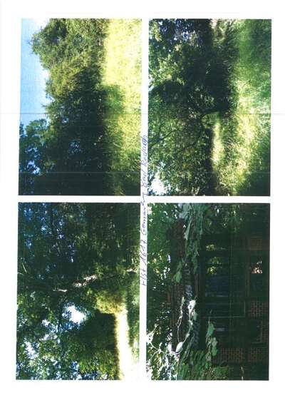 siehe Beschreibung in Mühlbach, 96476 Bad Rodach - Bild 2