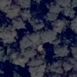 land- und forstwirtschaftlich genutztes Grundstück in Flachslanden - Bild 4