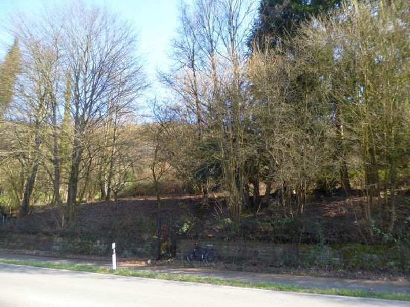 Landwirtschaftsfläche in Neckargemünd - Bild 1