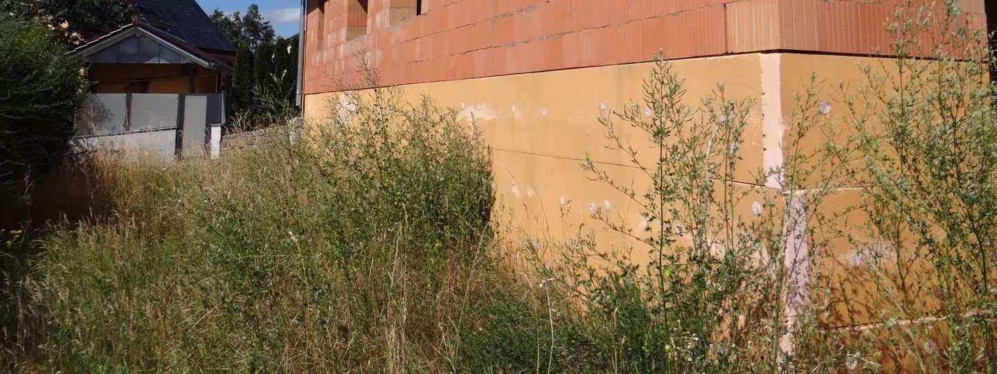 Einfamilienhaus in Eltmann - Bild 9