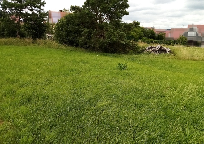 Grundstück in Gaildorf - Bild 1