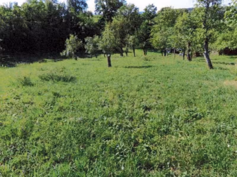 Landwirtschafts-/Waldflächen in Ammerbuch - Bild 1