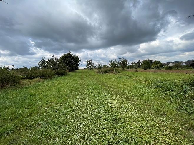 land- und forstwirtschaftlich genutztes Grundstück in Oberissigheim - Bild 4