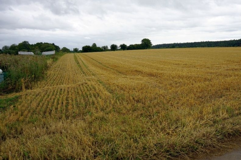 Landwirtschaftsfläche (Acker) in Denkendorf - Bild 1