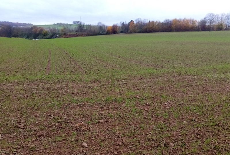 Landwirtschaftsflächen in Bretzfeld - Bild 1