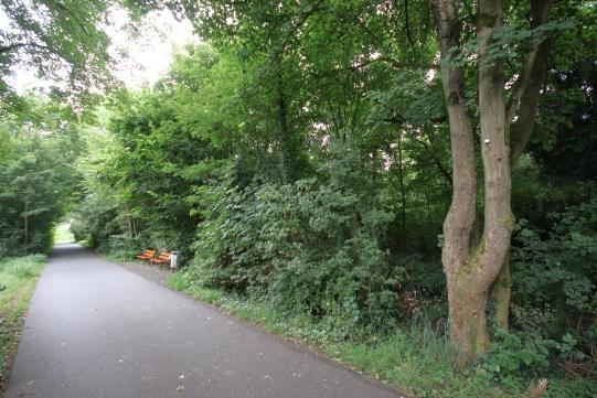 land- und forstwirtschaftlich genutztes Grundstück in Groß-Karben - Bild 4