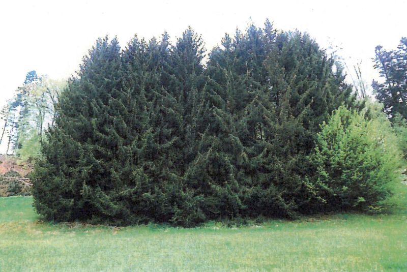 Landwirtschaftsflächen in Wüstenrot - Bild 2