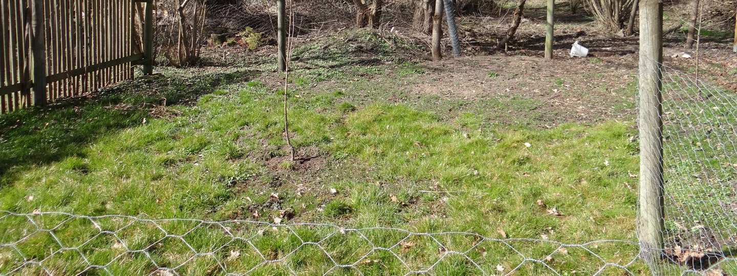 Sonstiges, Waldfläche in Willmars - Bild 3