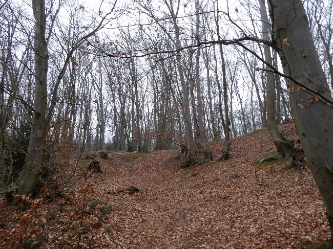land- und forstwirtschaftlich genutztes Grundstück, Einfamilienhaus in Hinsbeck - Bild 3