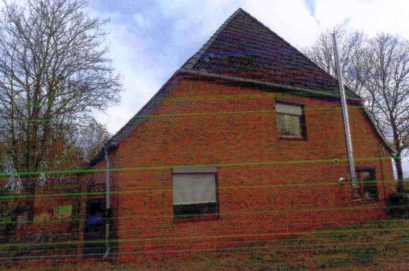 Einfamilienhaus mit Nebengebäuden in Dammfleth - Bild 1