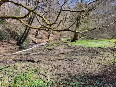 land- und forstwirtschaftlich genutztes Grundstück, land- und forstwirtschaftlich genutztes Grundstück in Oben in der Wiese, 51399 Burscheid, Oberwietsche - Bild 1