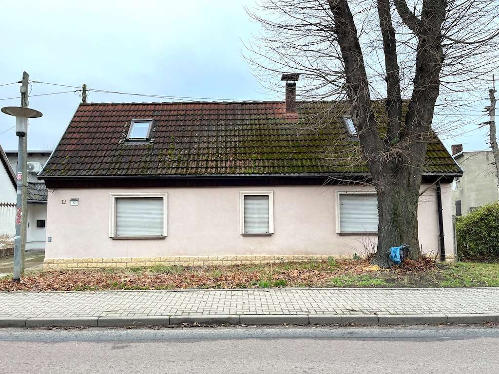 Einfamilienhaus in Reinsdorf - Bild 1