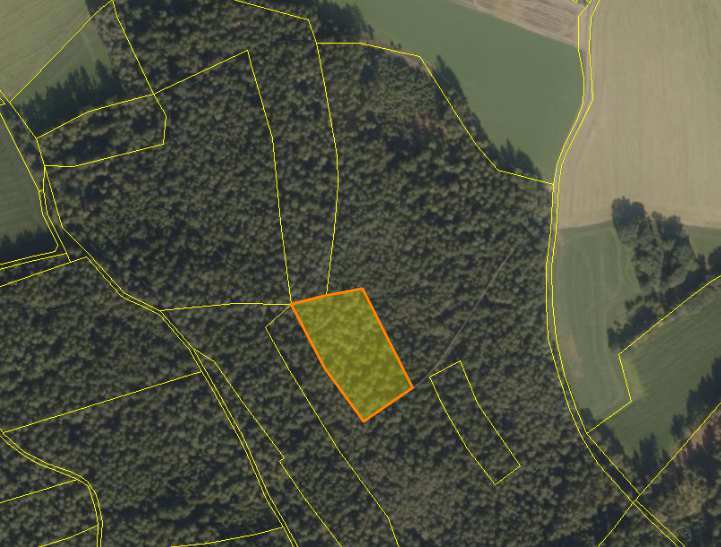 Waldfläche, Verkehrsfläche in Floß - Bild 1