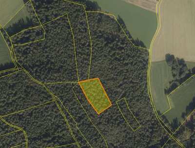 Waldfläche, Verkehrsfläche in Am Berg, 92685 Floß - Bild 1