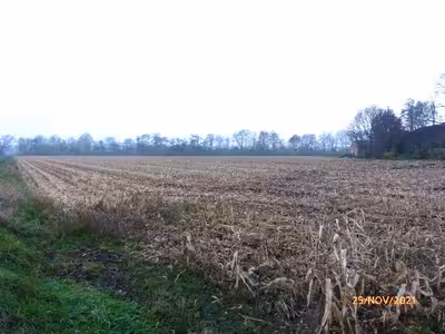 land- und forstwirtschaftlich genutztes Grundstück in Overlaher Straße, 26219 Bösel - Bild 7