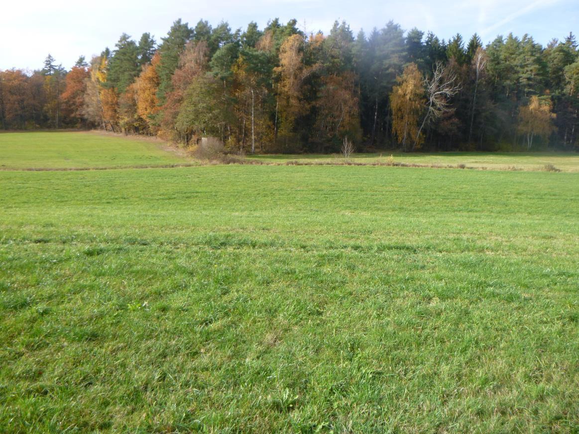 land- und forstwirtschaftlich genutztes Grundstück in null - Bild 4