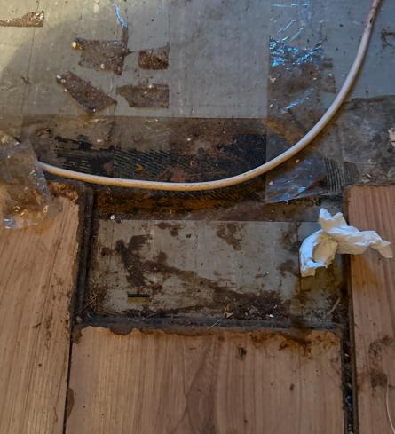 Eigentumswohnung (3 bis 4 Zimmer) in Emden - Bild 3