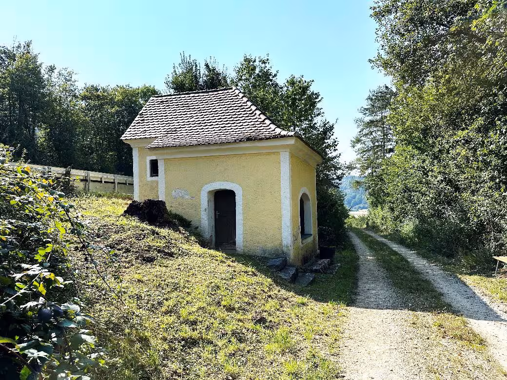 Waldfläche in Walting - Bild 1