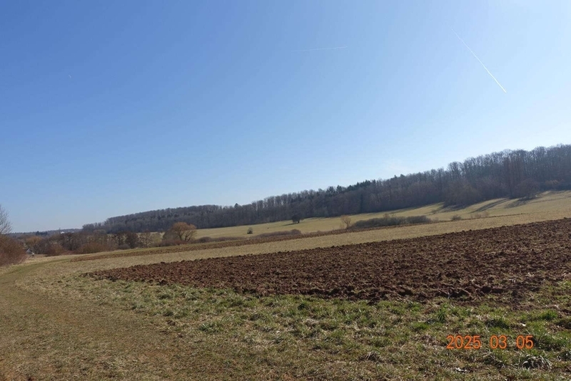 Landwirtschaftsfläche in Böblingen - Bild 1