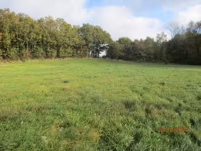 unbebautes Grundstück in Halloer Feld, 31606 Warmsen, Brüninghorstedt - Bild 1