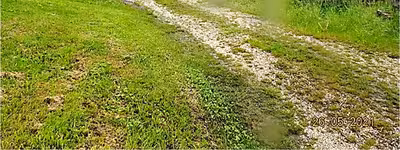 unbebautes Grundstück in Dorflandstraße  3, 86556 Kühbach, Haslangkreit - Bild 1