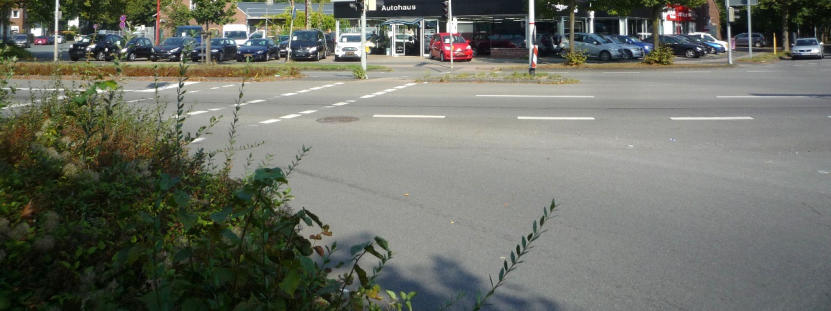 Gewerbeeinheit (z.B. Laden, Büro) in Rheine - Bild 3