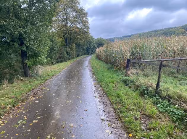 land- und forstwirtschaftlich genutztes Grundstück in Husen - Bild 4