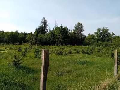 Sonstiges, Ackerland in Binzelberg, 00000 Usingen - Bild 2