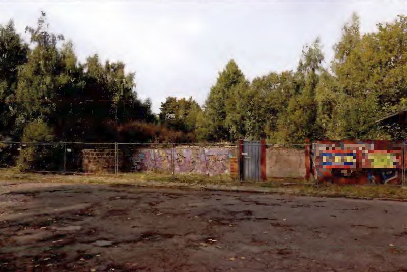 Bauland (unbebaut, jedoch Wohnhausreste vorhanden) in Greifswald - Bild 3