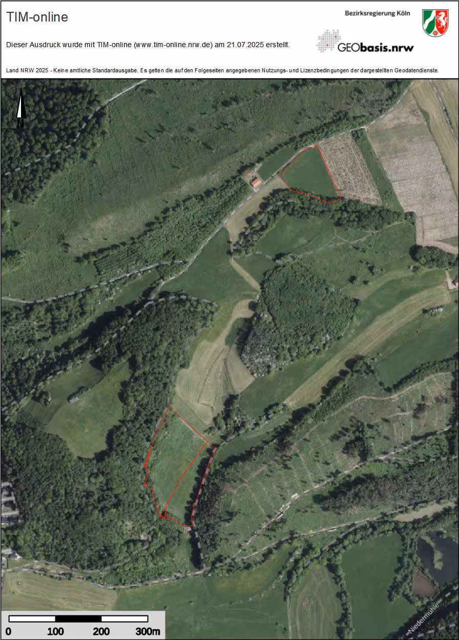 Sonstiges, Mehrfamilienhaus, Einfamilienhaus, diverse land- und fortwirtschaftlich genutzte Grundstücke in Marsberg - Bild 2