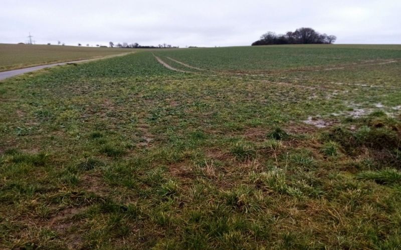 Wohnhaus und Landwirtschaftsflächen in Bieringen - Bild 4
