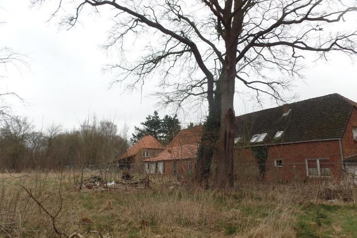 Sonstiges in Garrel - Bild 1