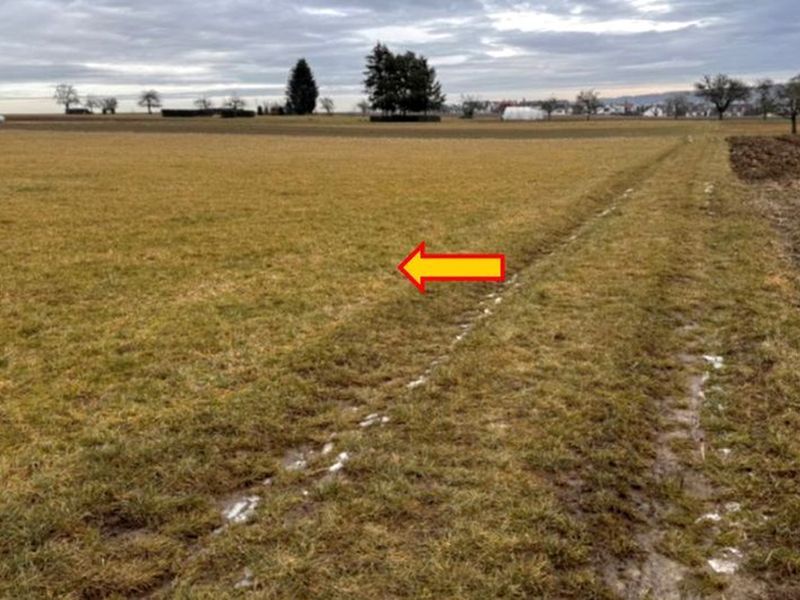 Landwirtschaftsflächen in Nufringen - Bild 2