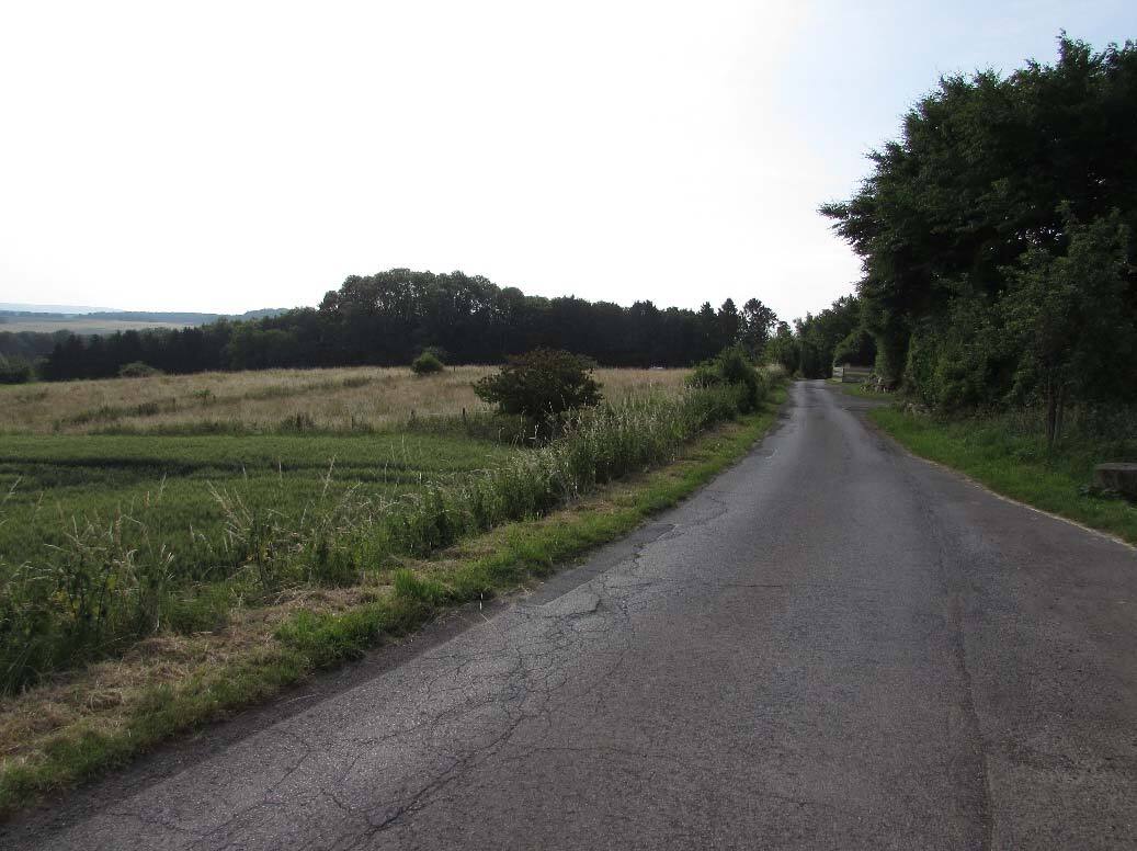 unbebautes Grundstück in Sinzig - Bild 1