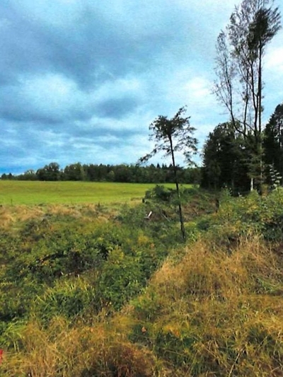 Landwirtschafts- und Waldfläche in Hegelesbühl, 71566 Althütte - Bild 2