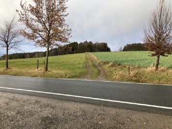 land- und forstwirtschaftlich genutztes Grundstück in Lauter-Bernsbach - Bild 2