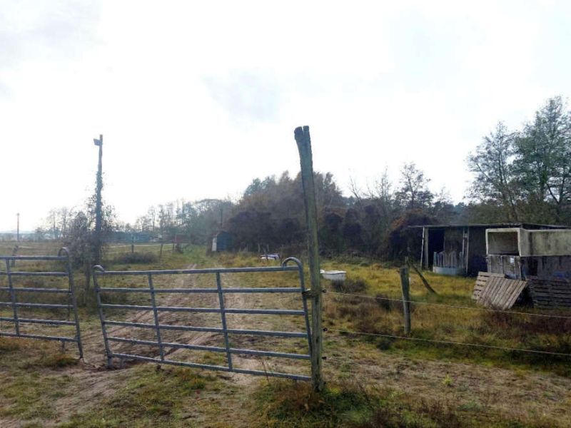Landwirtschafts-/Waldfläche (genutzt durch Reitereibetrieb) in Beelitz - Bild 1