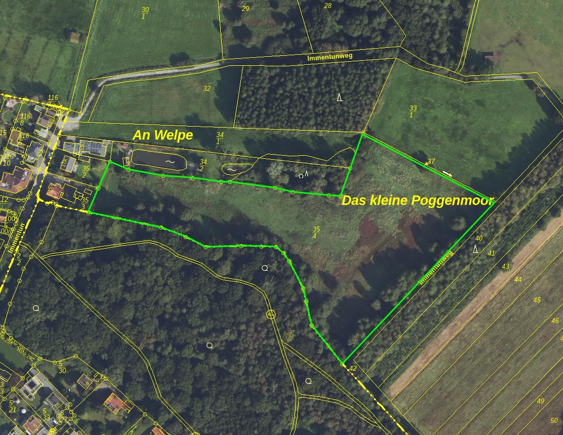 land- und forstwirtschaftlich genutztes Grundstück in Vechta - Bild 3