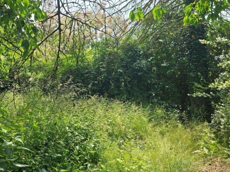 Einfamilienhaus mit Nebengebäuden in Dummerstorf - Bild 4