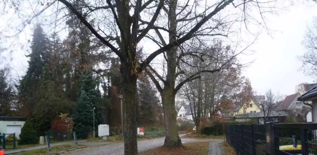 Einfamilienhaus, mit Einliegerwohnung in Berlin - Bild 1