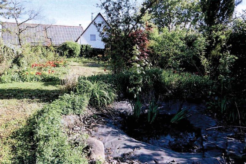 Leerstehendes Einfamilienhaus mit Garage in Bad Wimpfen - Bild 2