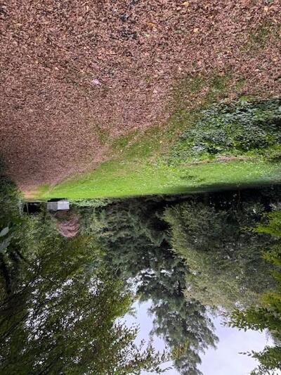 Sonstiges, unbebautes Grundstück in Entenpfand, Bauten Erb, 41334 Nettetal, Kaldenkirchen - Bild 1