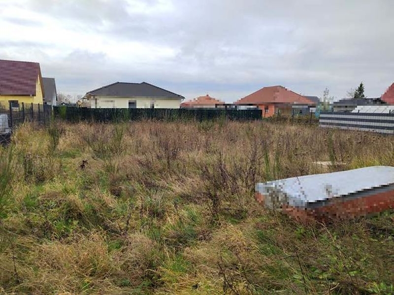 Einfamilienhaus mit Doppelgarage in Crivitz - Bild 3