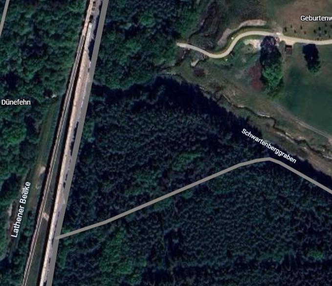 Sonstiges, Waldgrundstück in Lathen - Bild 2