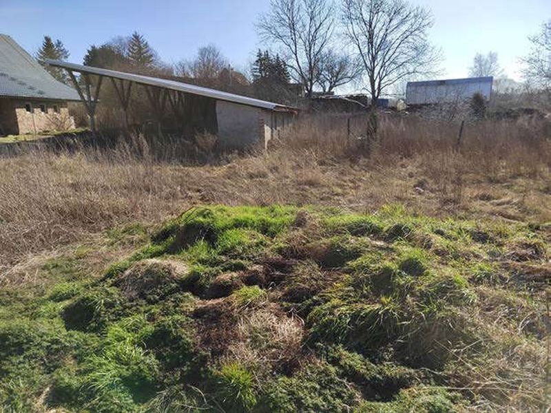 Wohnhaus mit seitlichem Scheunenteil (Siedlungshaus) in Lalendorf - Bild 4