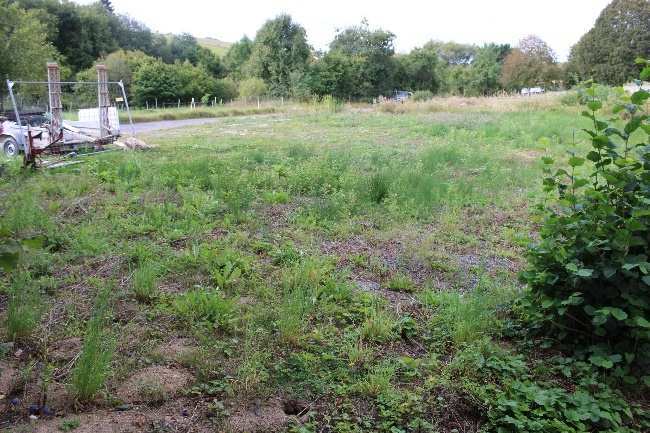 unbebautes Grundstück, land- und forstwirtschaftlich genutztes Grundstück in Eppenrod - Bild 2