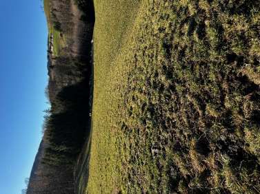 Waldfläche, Landwirtschaftsfläche in Anger - Bild 1